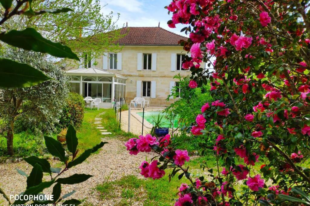Tizac-De-Lapouyade, Piscine 35 Km De Bordeaux Villa Esterno foto